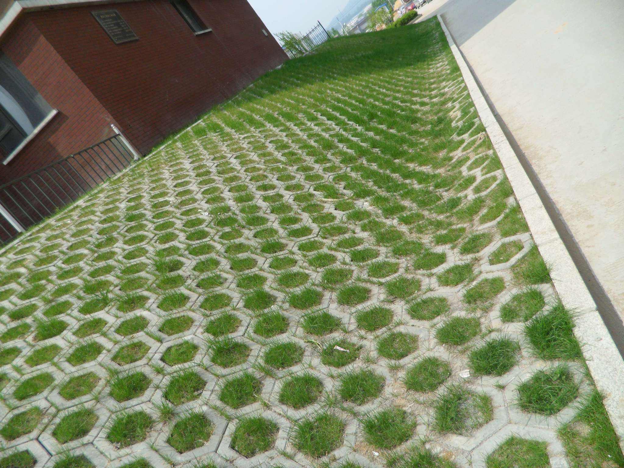 哈尔滨草坪砖图片